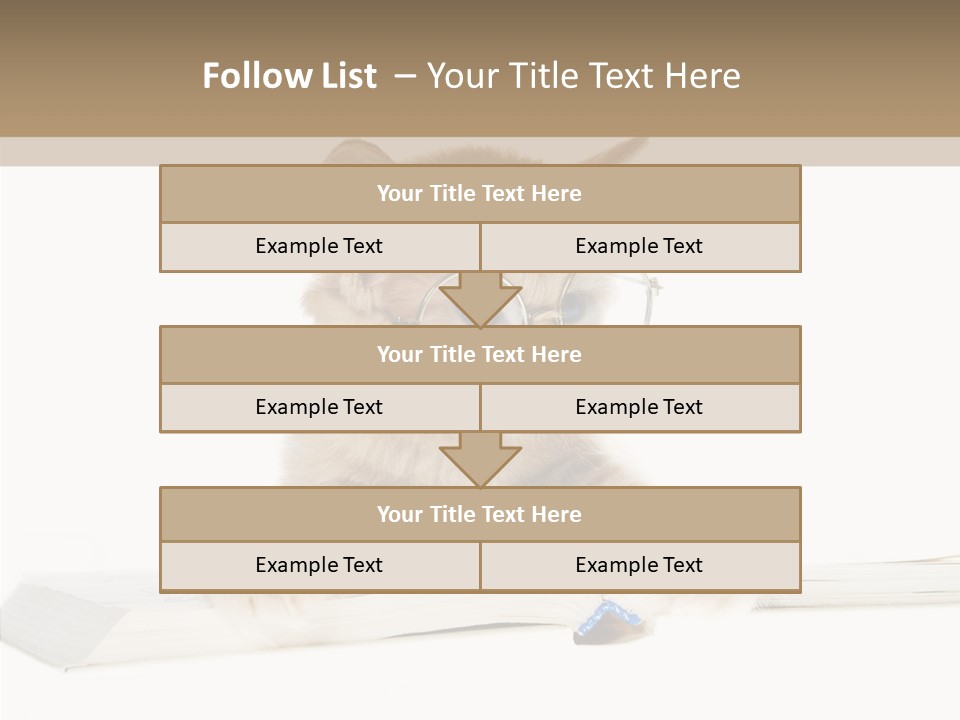 Pretty Pet Whiskers PowerPoint Template
