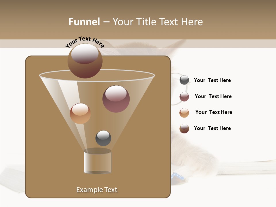 Pretty Pet Whiskers PowerPoint Template