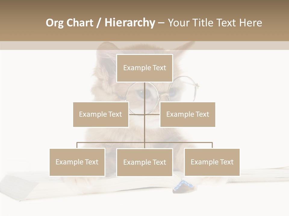 Pretty Pet Whiskers PowerPoint Template