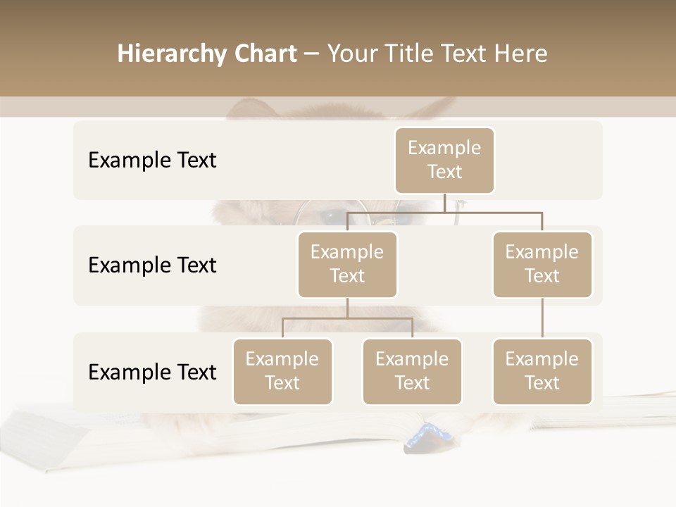 Pretty Pet Whiskers PowerPoint Template