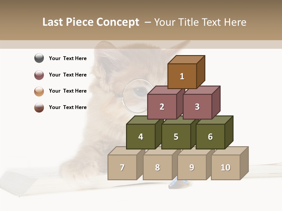 Pretty Pet Whiskers PowerPoint Template