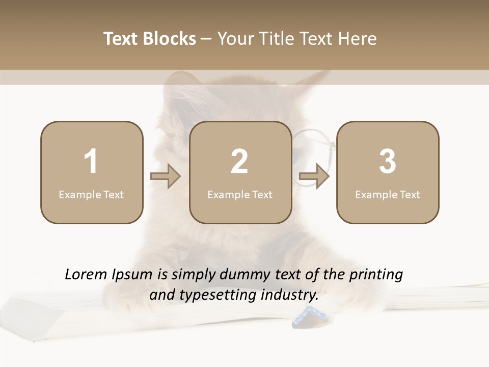 Pretty Pet Whiskers PowerPoint Template