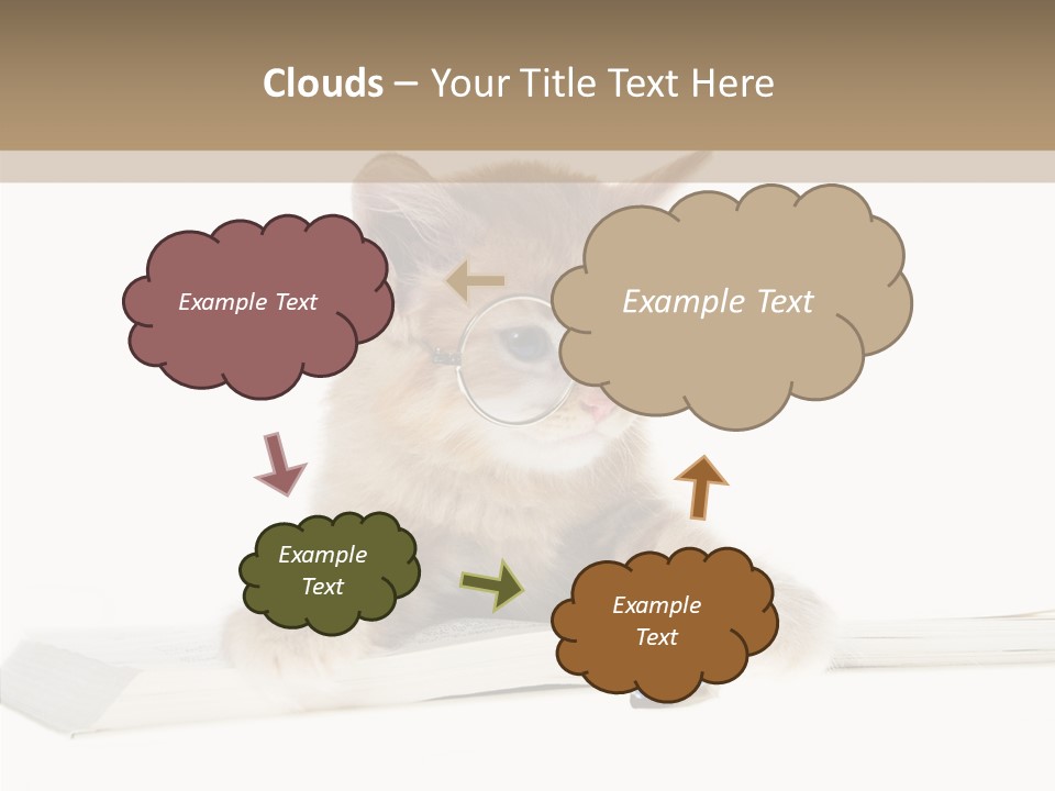 Pretty Pet Whiskers PowerPoint Template