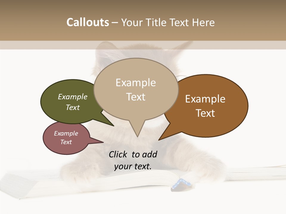 Pretty Pet Whiskers PowerPoint Template