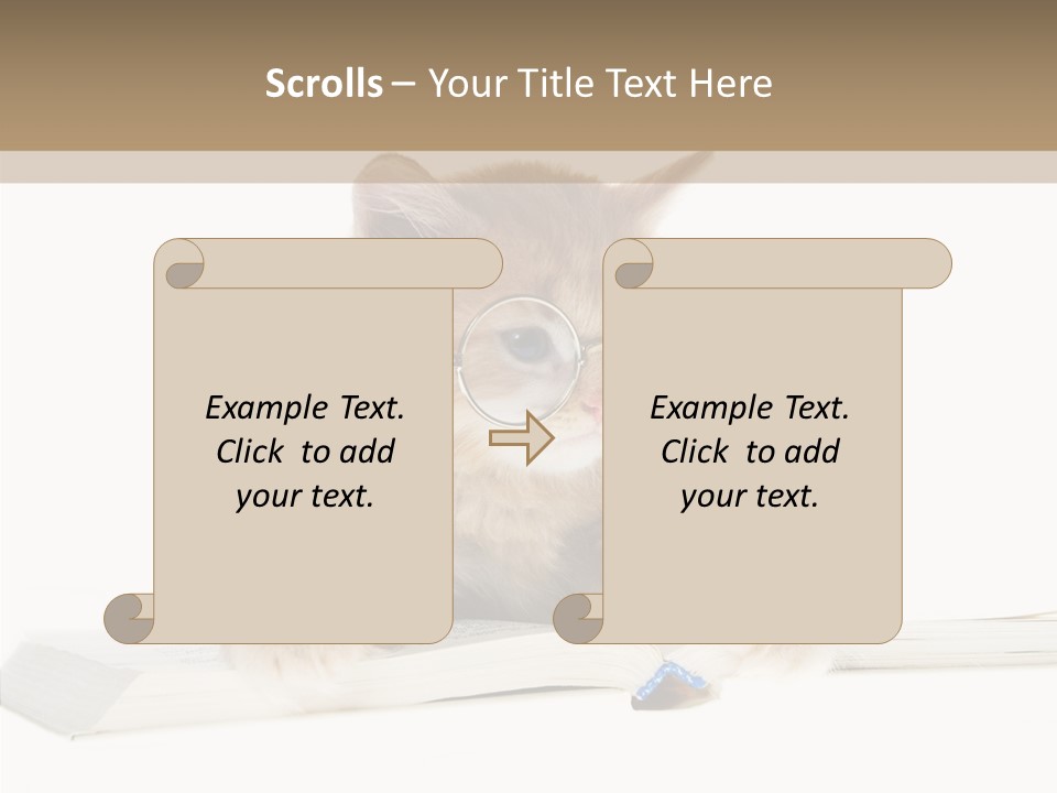 Pretty Pet Whiskers PowerPoint Template
