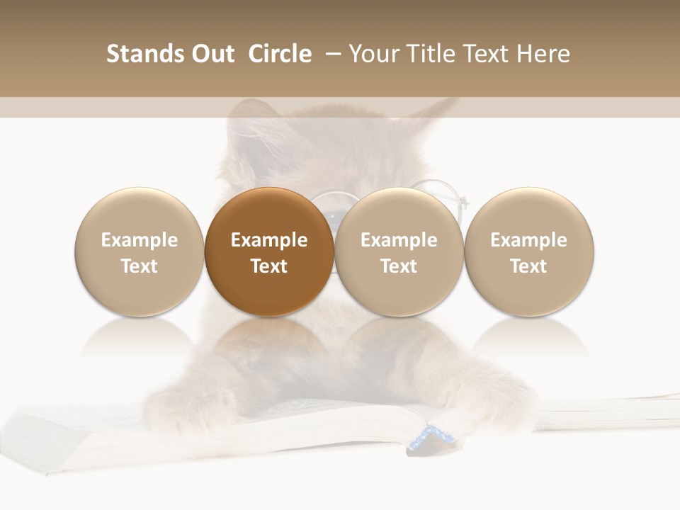 Pretty Pet Whiskers PowerPoint Template