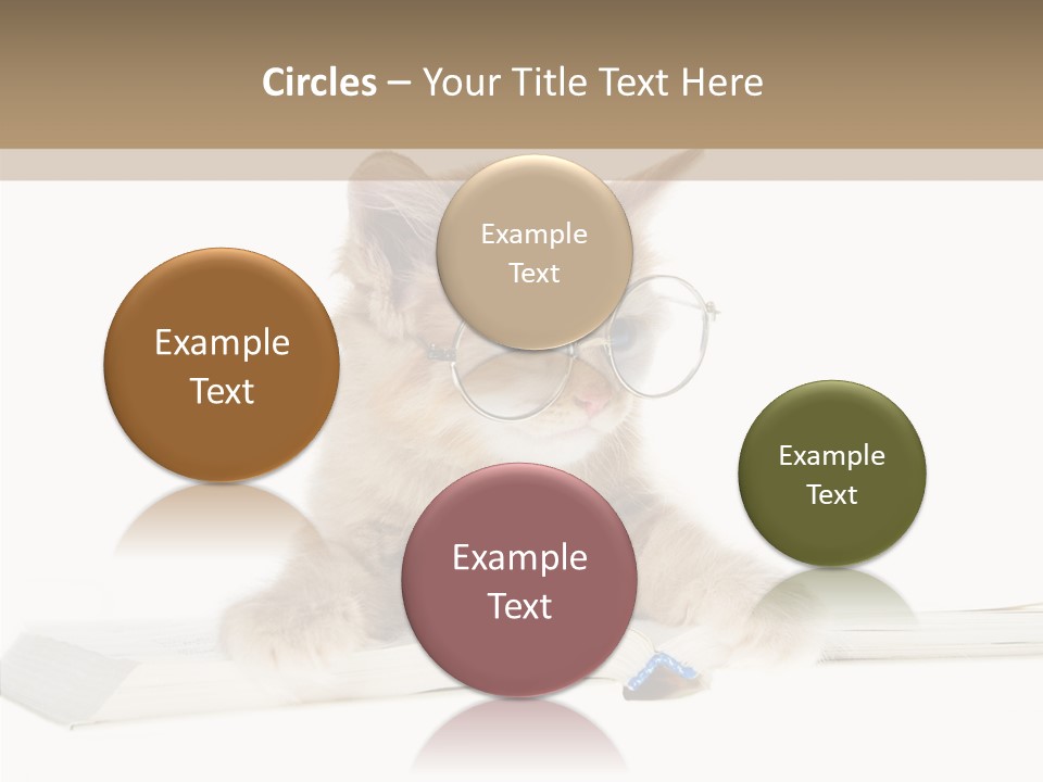 Pretty Pet Whiskers PowerPoint Template