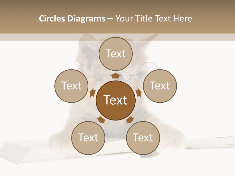 Pretty Pet Whiskers PowerPoint Template