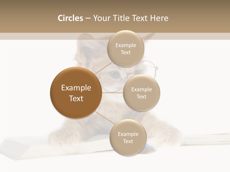 Pretty Pet Whiskers PowerPoint Template