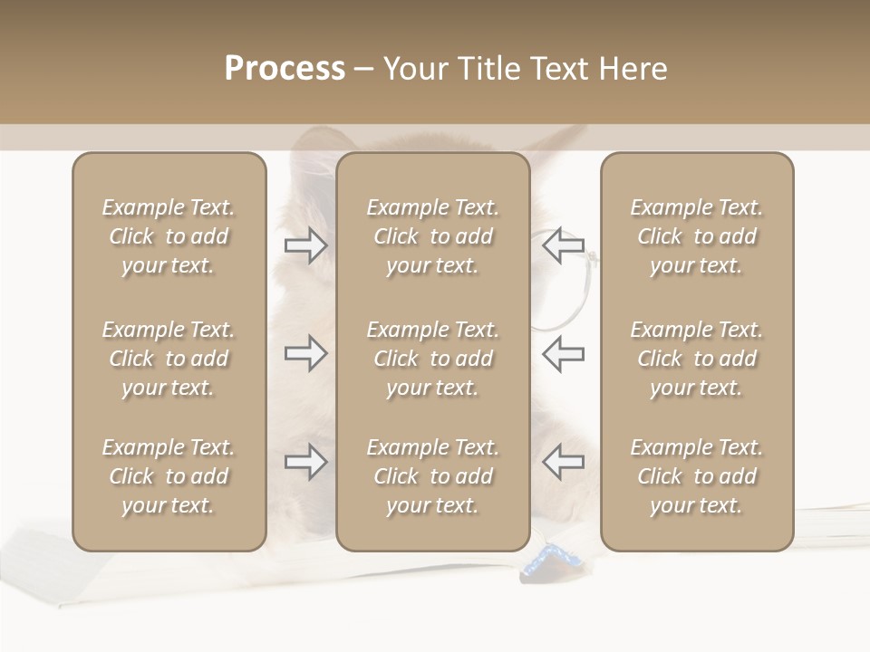 Pretty Pet Whiskers PowerPoint Template
