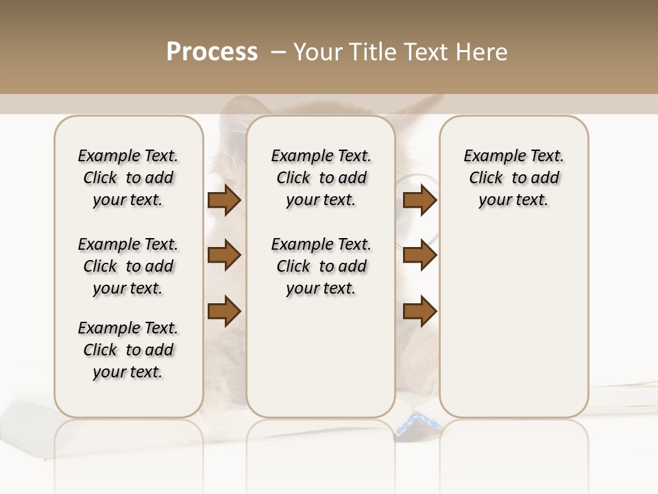 Pretty Pet Whiskers PowerPoint Template
