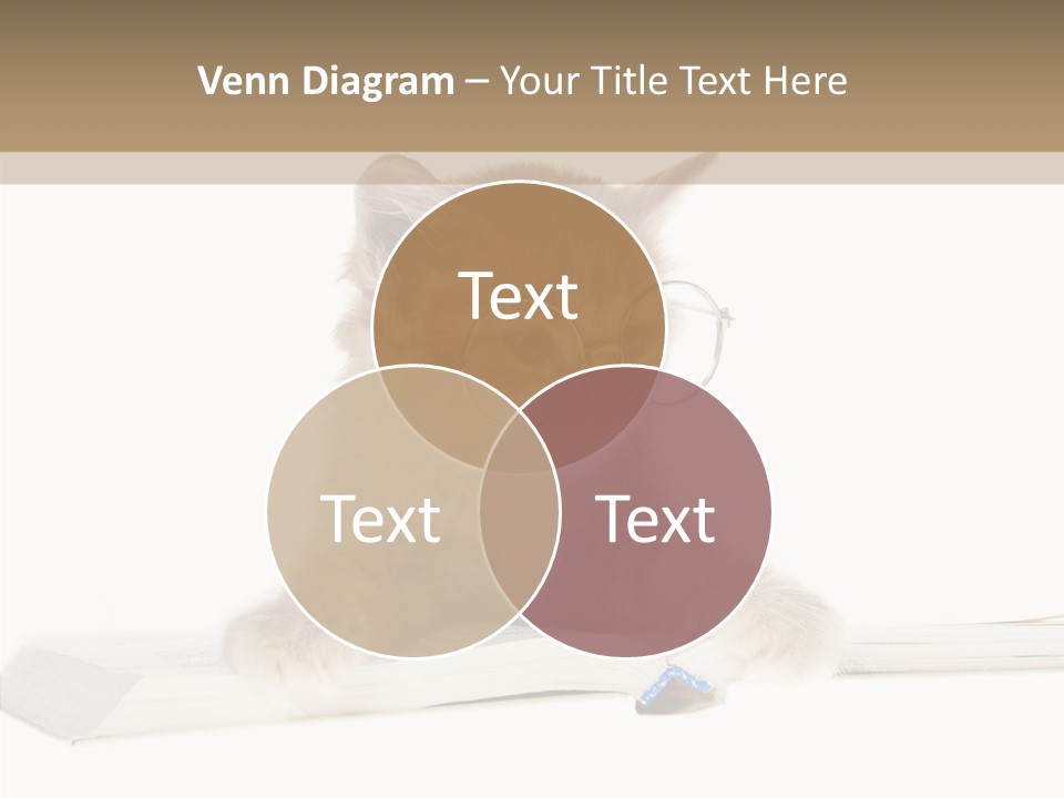 Pretty Pet Whiskers PowerPoint Template