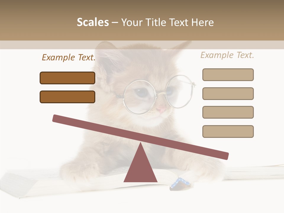 Pretty Pet Whiskers PowerPoint Template