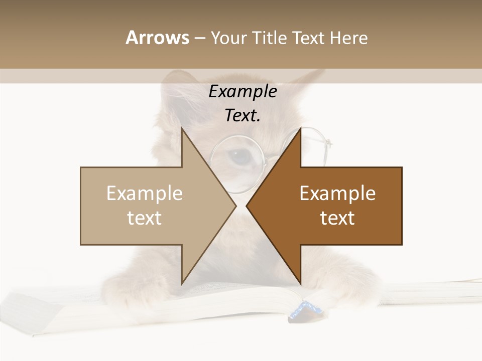 Pretty Pet Whiskers PowerPoint Template