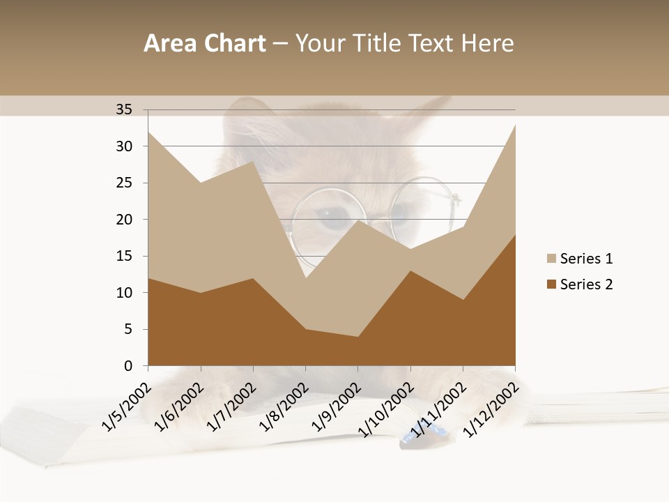 Pretty Pet Whiskers PowerPoint Template