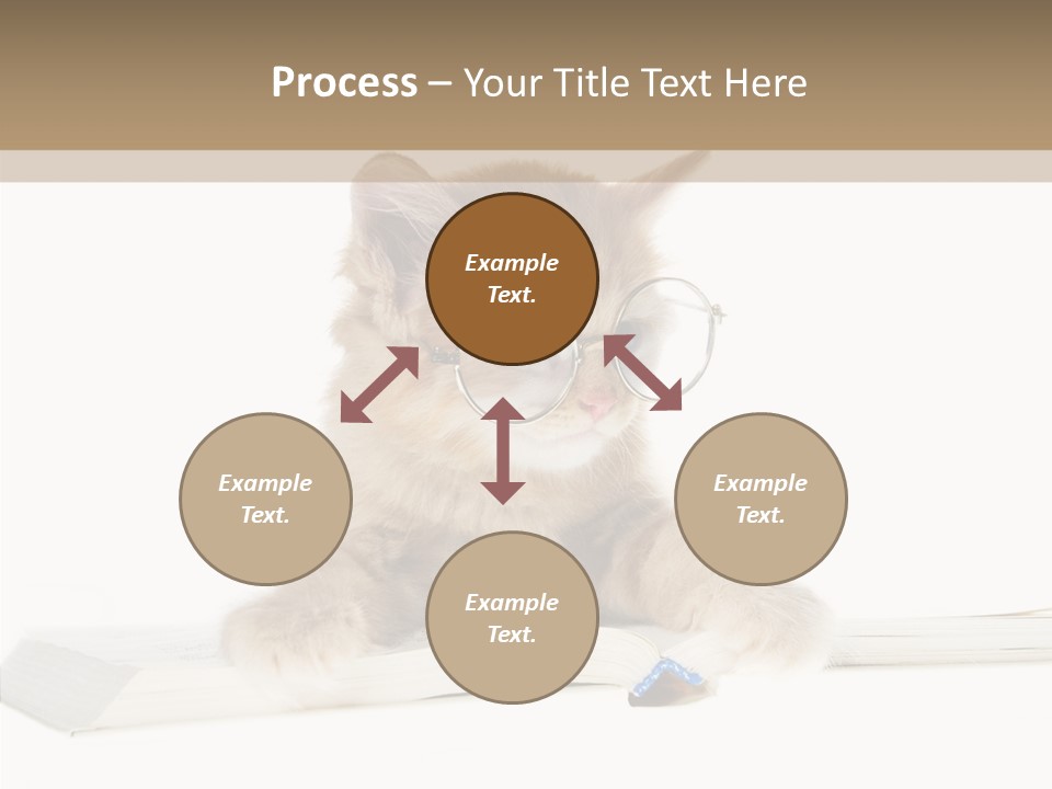 Pretty Pet Whiskers PowerPoint Template