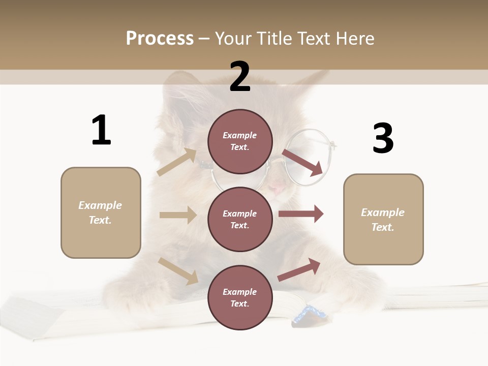 Pretty Pet Whiskers PowerPoint Template