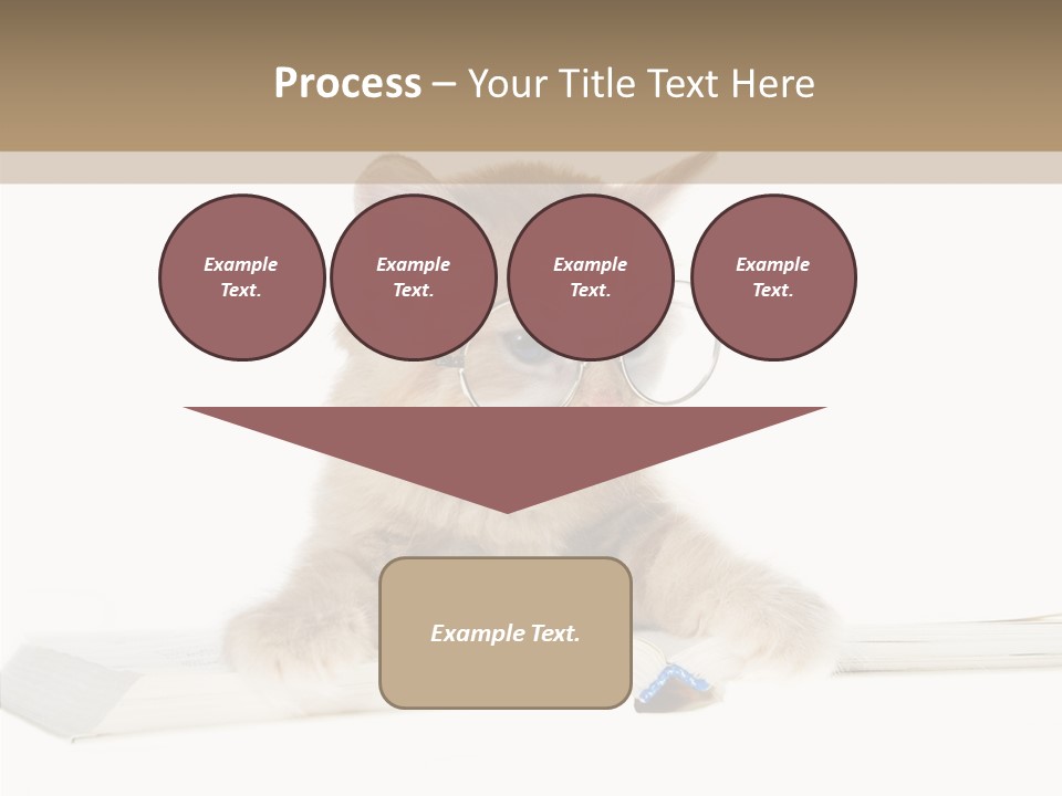 Pretty Pet Whiskers PowerPoint Template