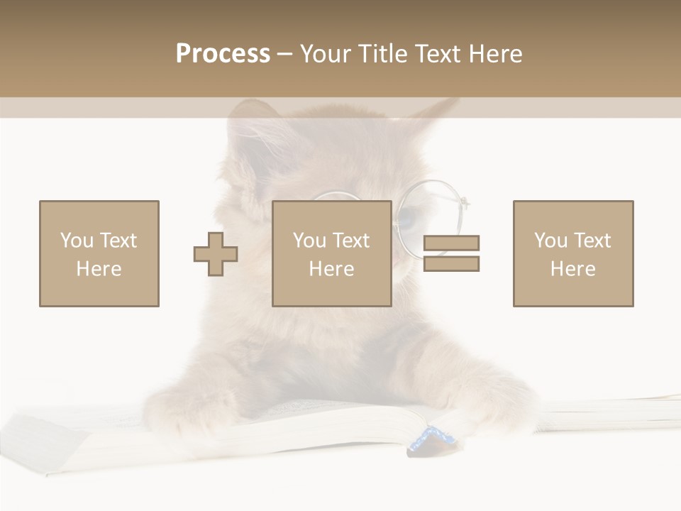 Pretty Pet Whiskers PowerPoint Template
