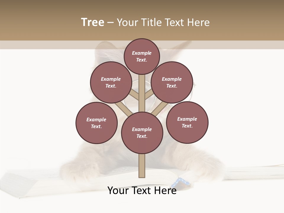 Pretty Pet Whiskers PowerPoint Template