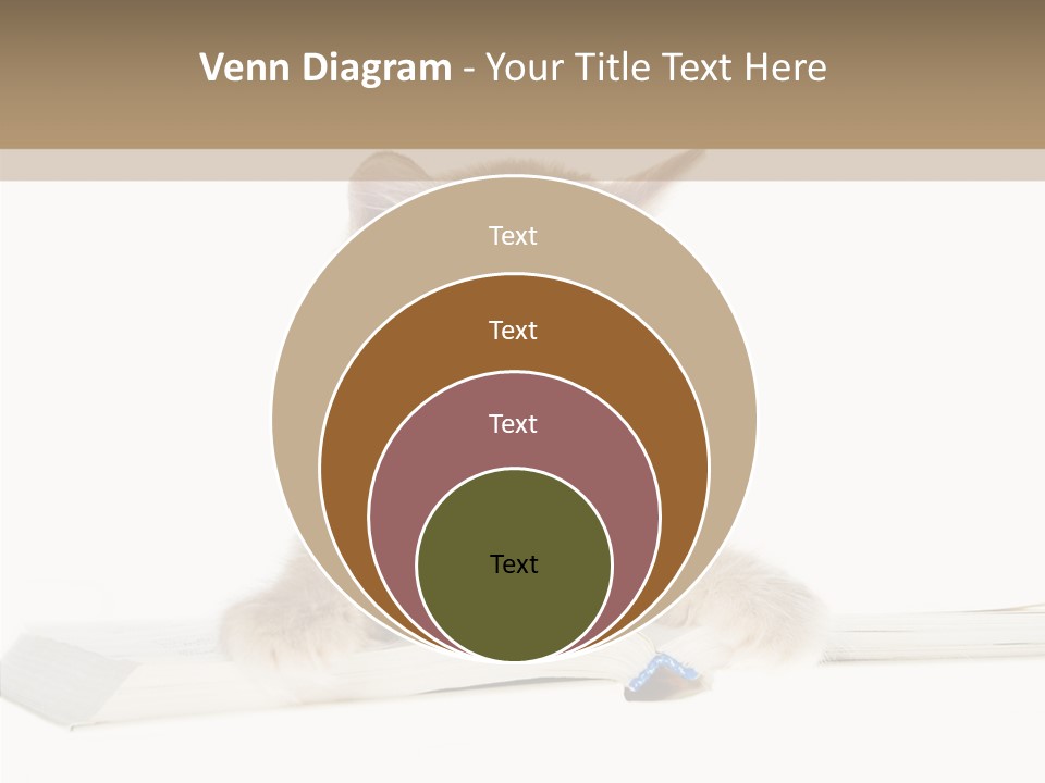 Pretty Pet Whiskers PowerPoint Template