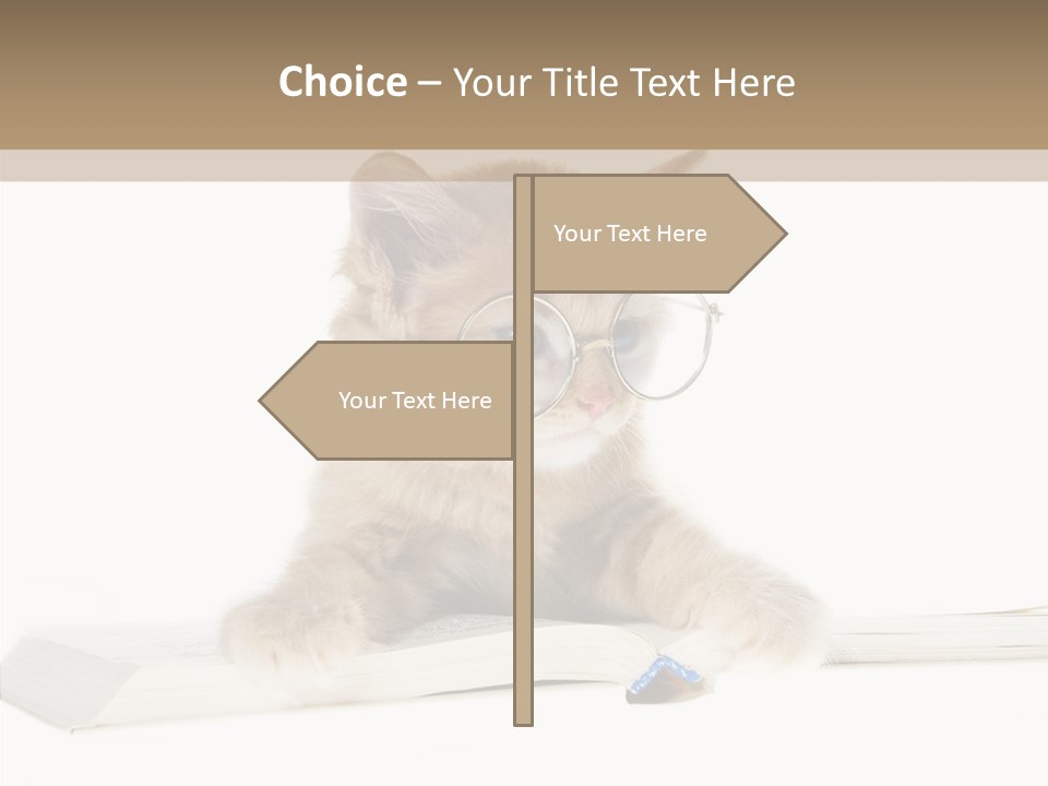 Pretty Pet Whiskers PowerPoint Template