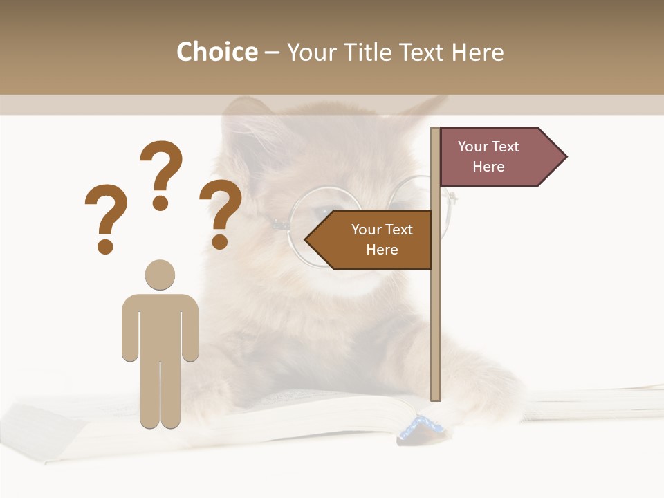 Pretty Pet Whiskers PowerPoint Template