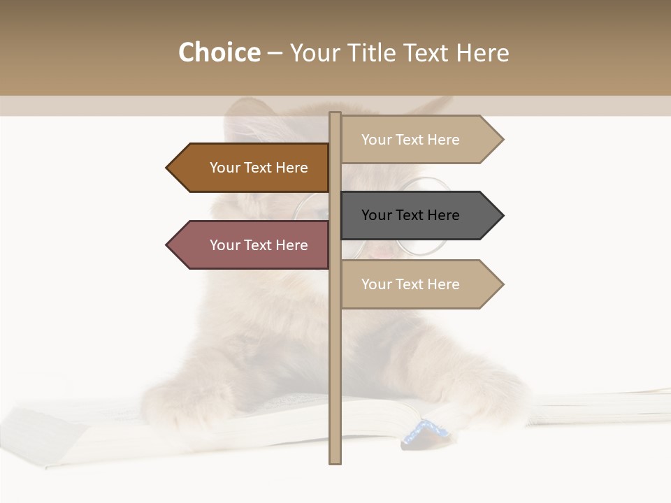 Pretty Pet Whiskers PowerPoint Template