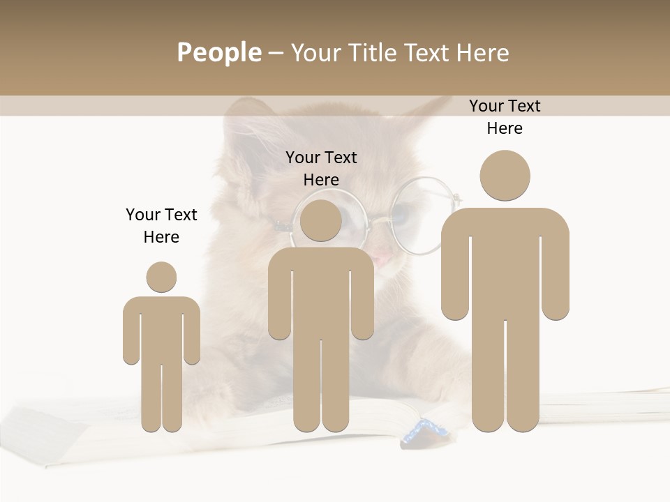 Pretty Pet Whiskers PowerPoint Template