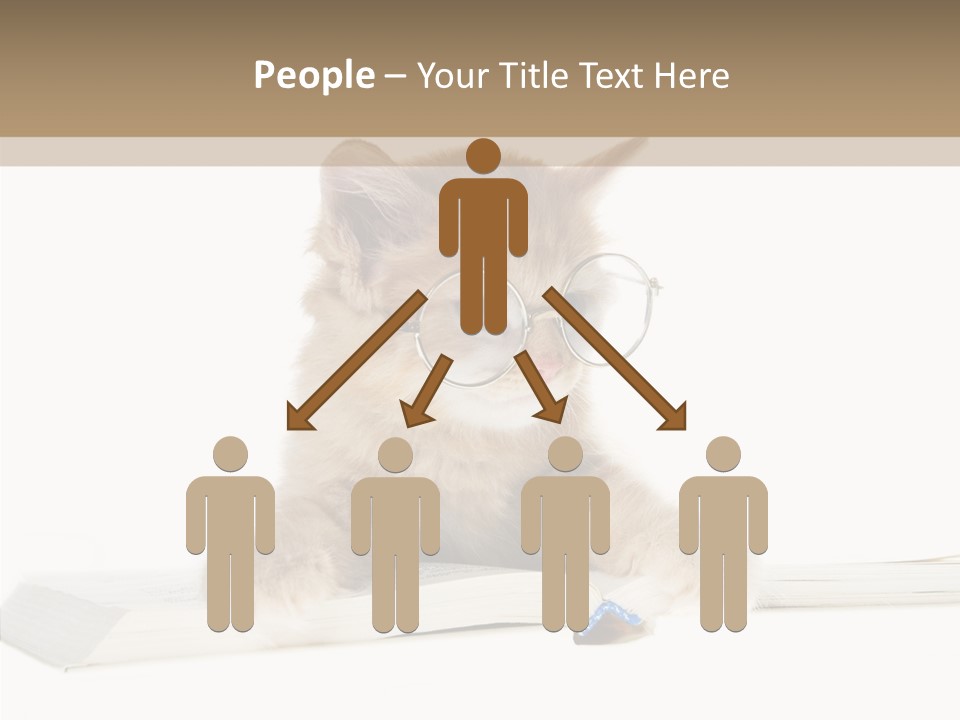 Pretty Pet Whiskers PowerPoint Template