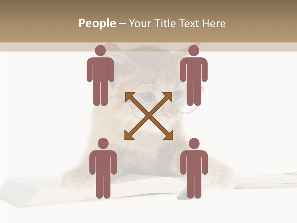 Pretty Pet Whiskers PowerPoint Template