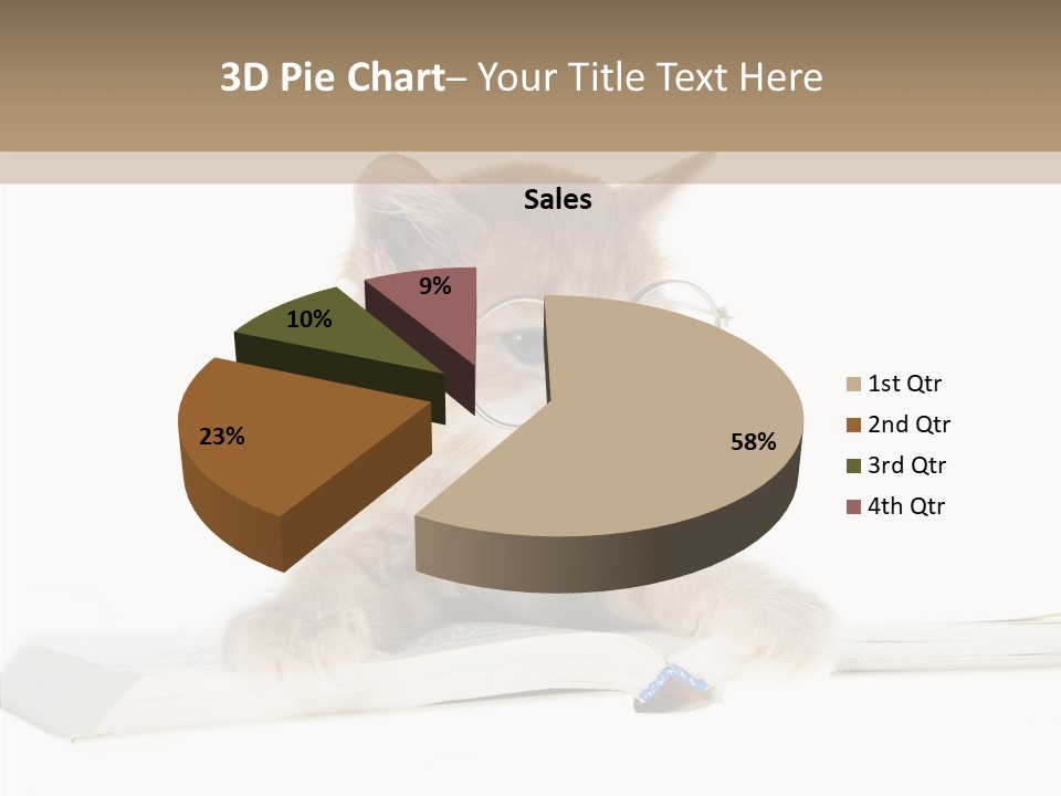 Pretty Pet Whiskers PowerPoint Template