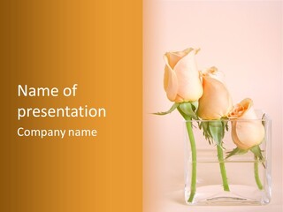 Pastel Petal Pink PowerPoint Template