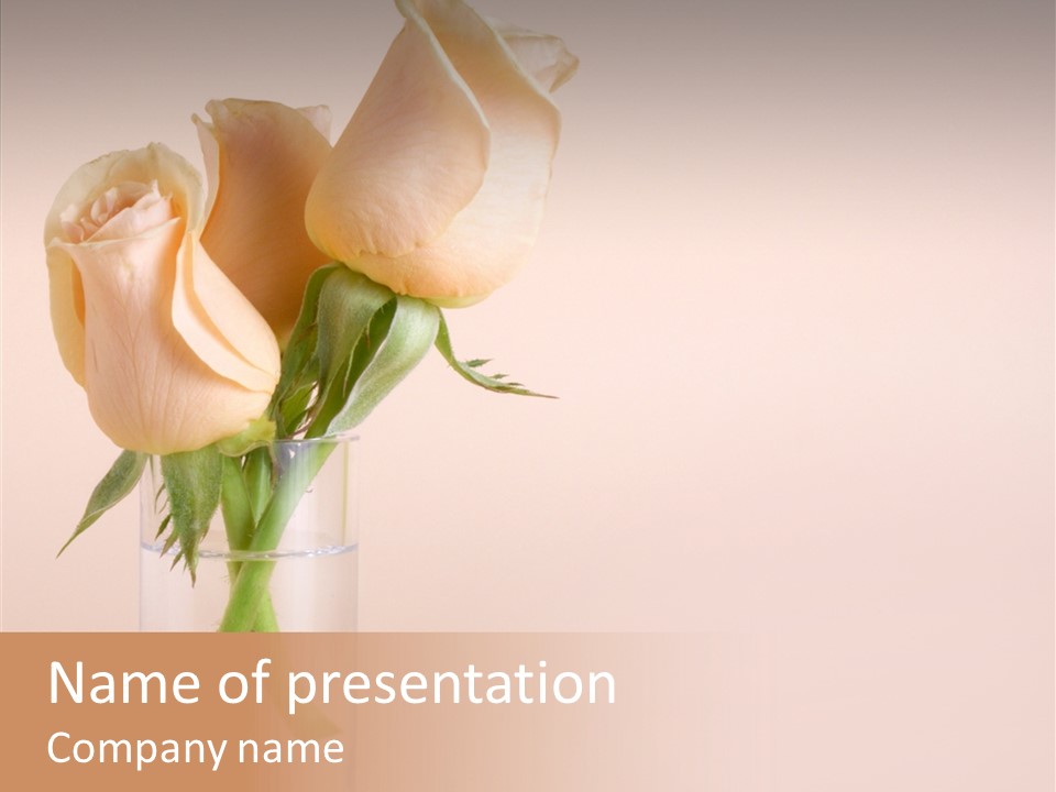 Pastel Colored Petal PowerPoint Template