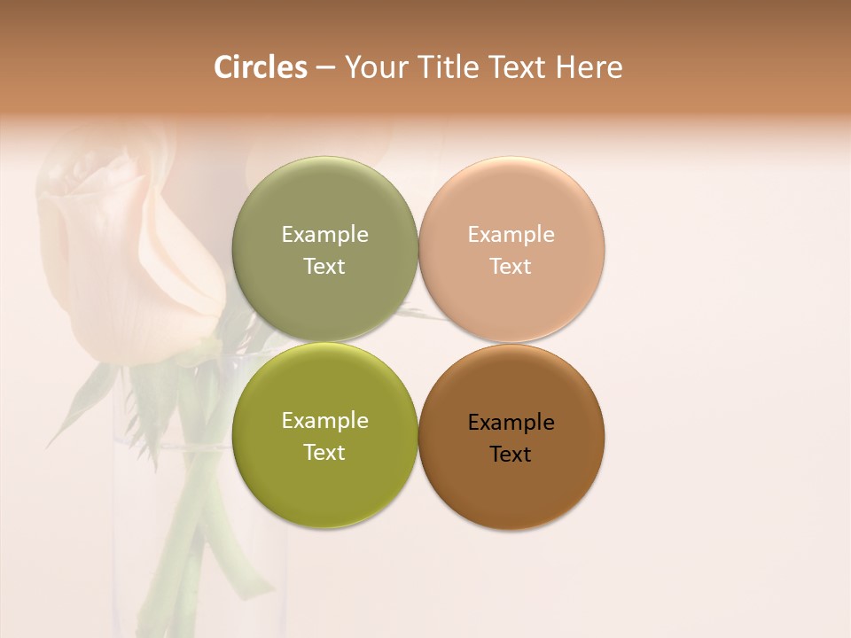 Pastel Colored Petal PowerPoint Template