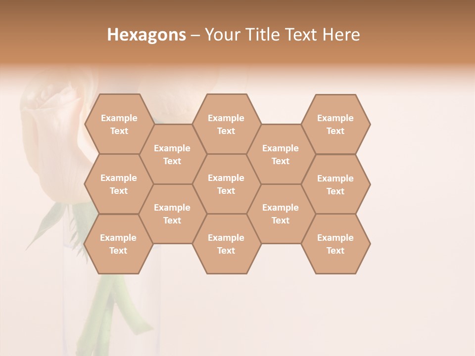 Pastel Colored Petal PowerPoint Template