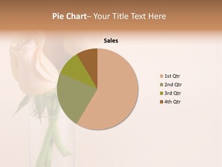 Pastel Colored Petal PowerPoint Template