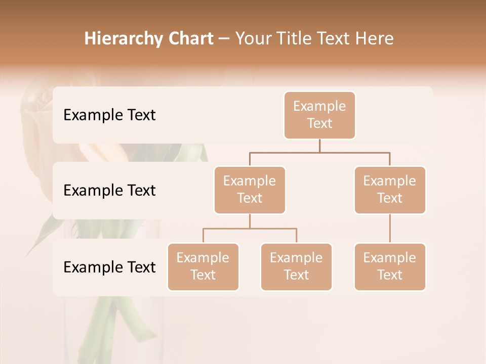 Pastel Colored Petal PowerPoint Template