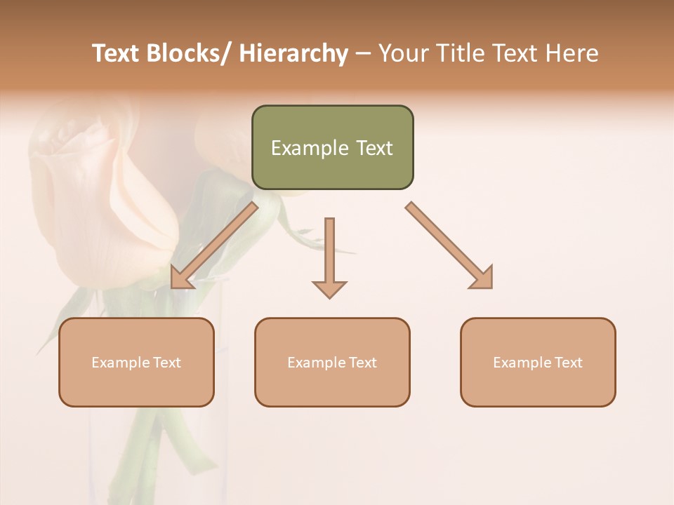 Pastel Colored Petal PowerPoint Template