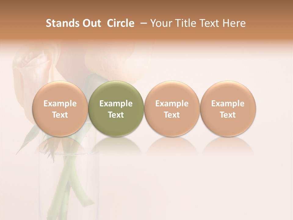 Pastel Colored Petal PowerPoint Template