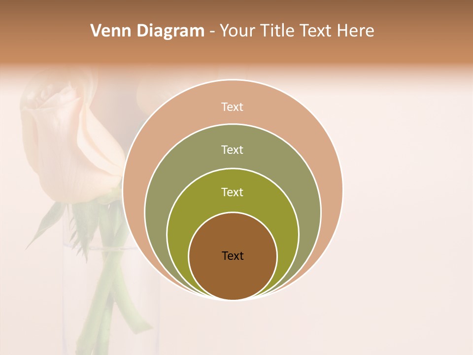 Pastel Colored Petal PowerPoint Template