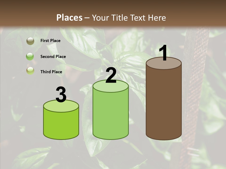 Summer Garden Eat PowerPoint Template