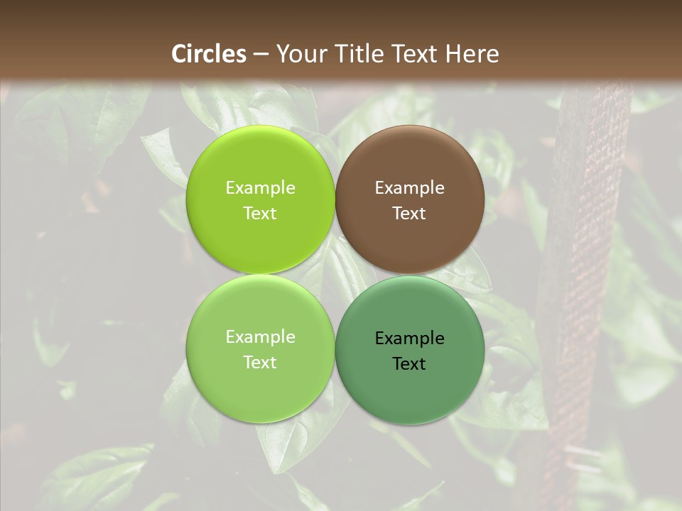 Summer Garden Eat PowerPoint Template