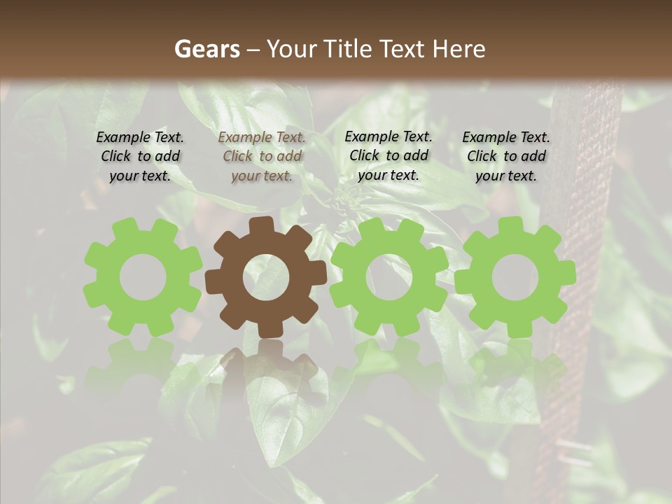 Summer Garden Eat PowerPoint Template