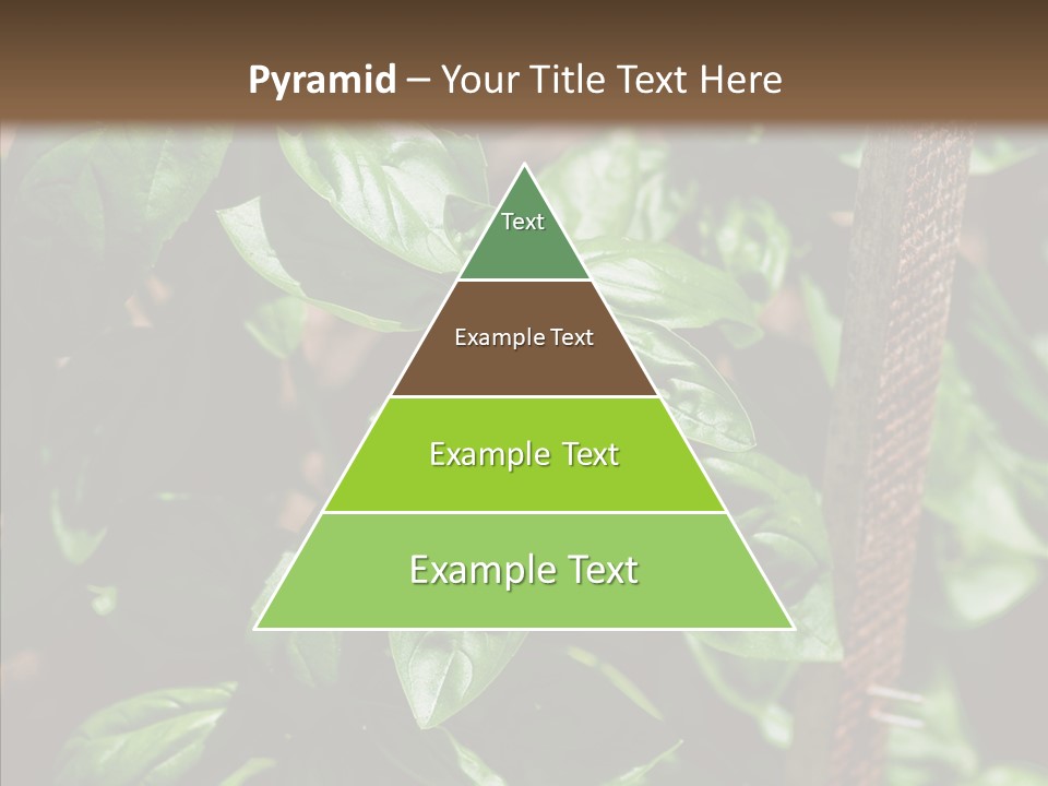 Summer Garden Eat PowerPoint Template