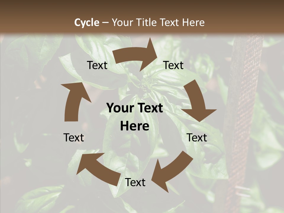 Summer Garden Eat PowerPoint Template