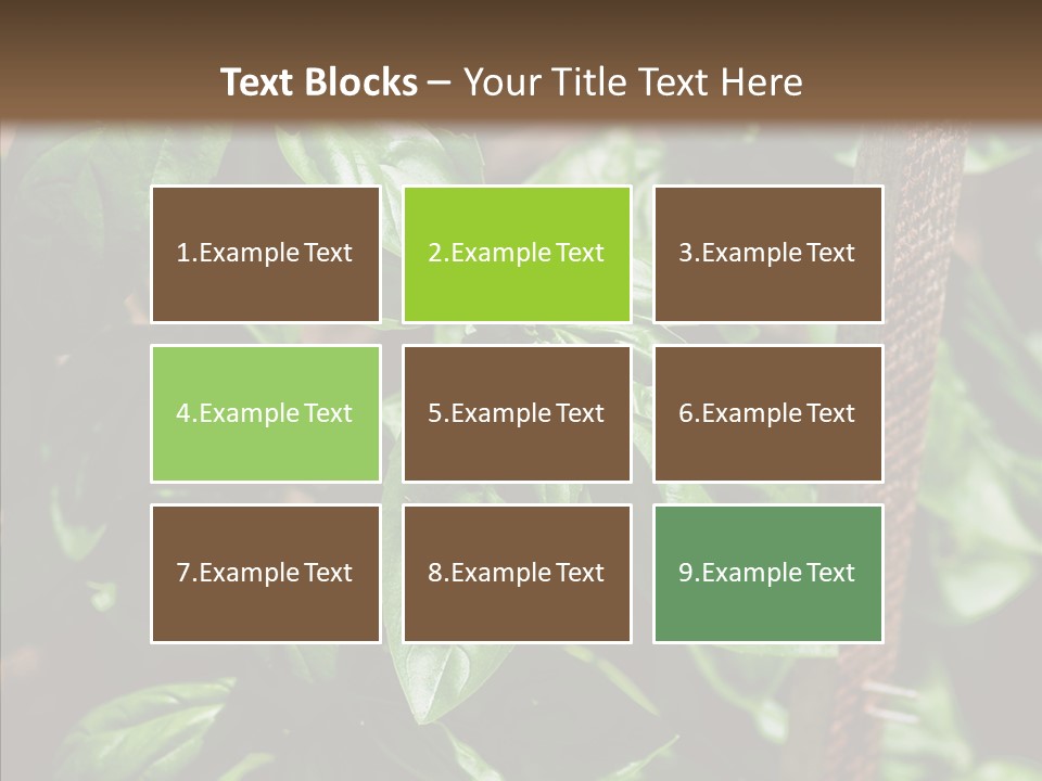 Summer Garden Eat PowerPoint Template