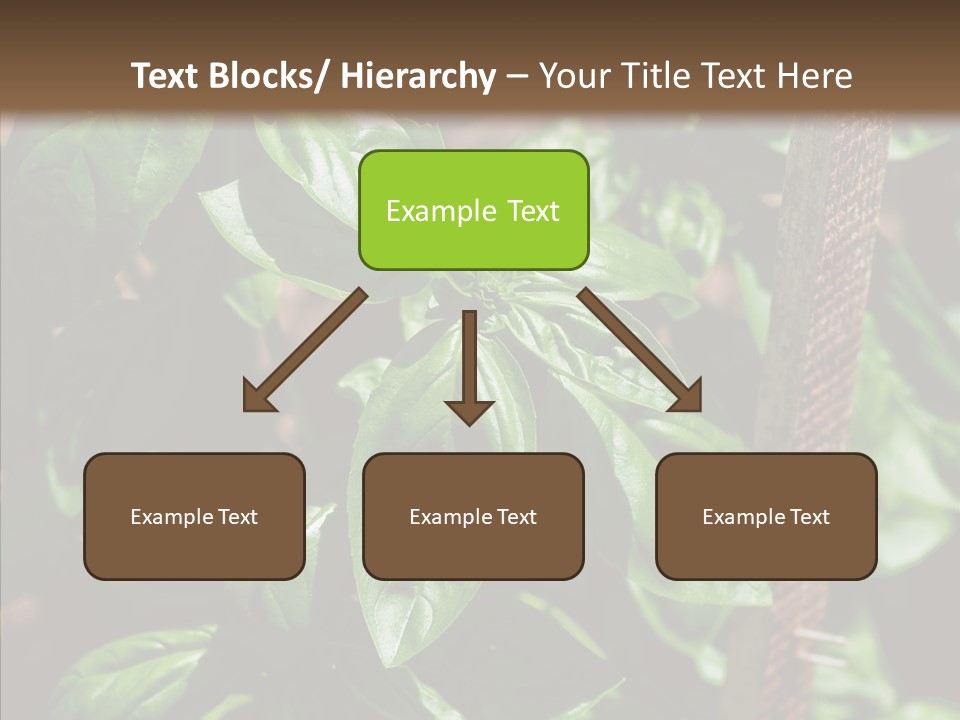 Summer Garden Eat PowerPoint Template