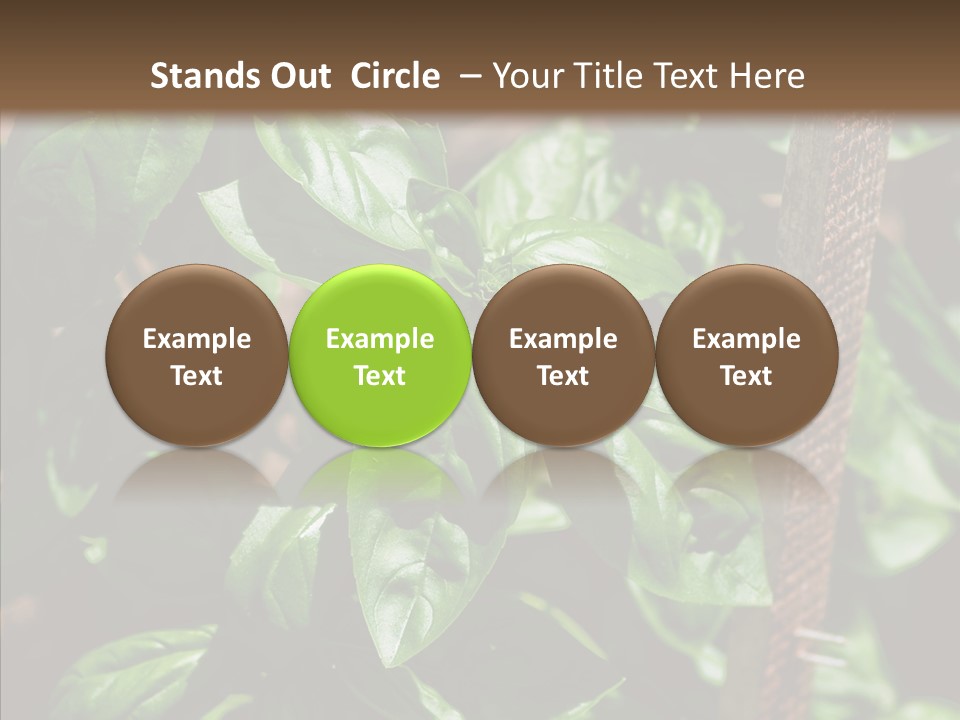 Summer Garden Eat PowerPoint Template