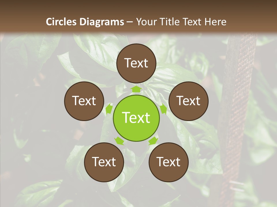 Summer Garden Eat PowerPoint Template